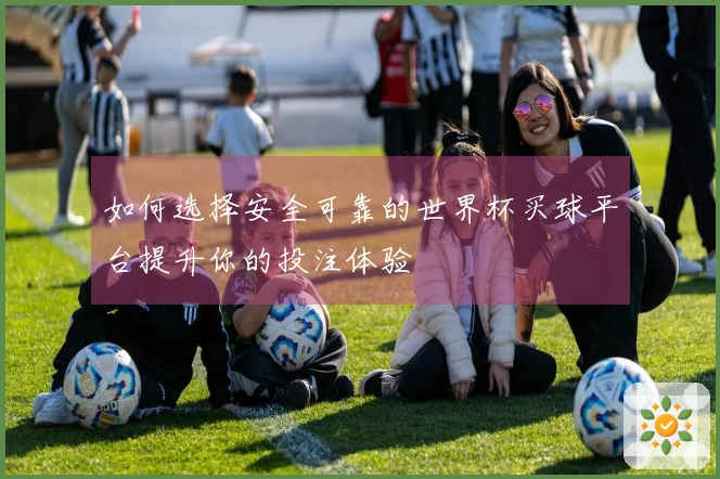 如何选择安全可靠的世界杯买球平台提升你的投注体验