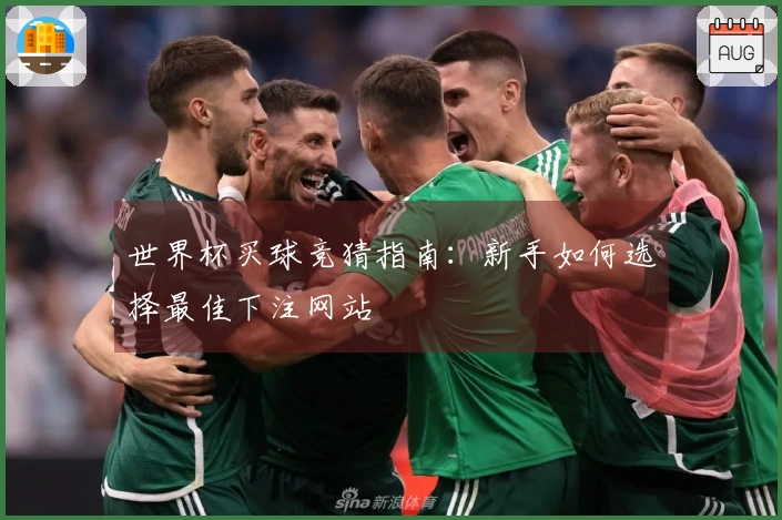 世界杯买球竞猜指南：新手如何选择最佳下注网站