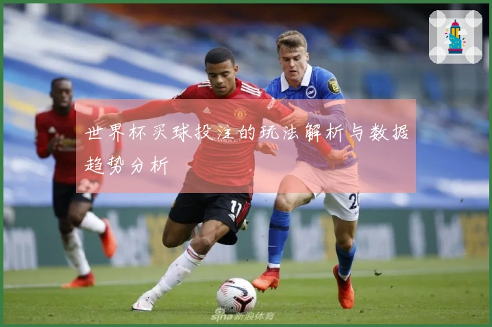 世界杯买球投注的玩法解析与数据趋势分析