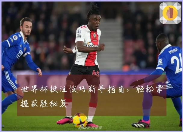 世界杯投注技巧新手指南，轻松掌握获胜秘笈