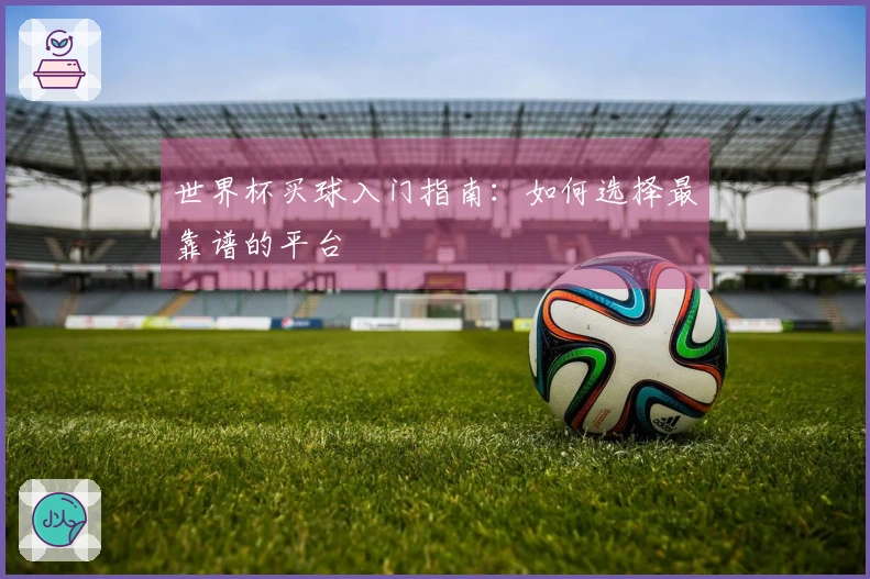世界杯买球入门指南：如何选择最靠谱的平台