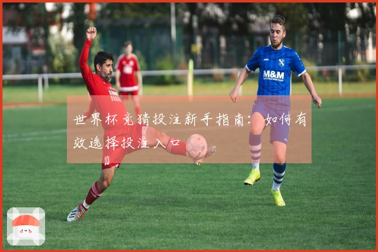 世界杯竞猜投注新手指南：如何有效选择投注入口