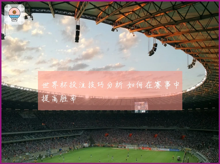 世界杯投注技巧分析 如何在赛事中提高胜率