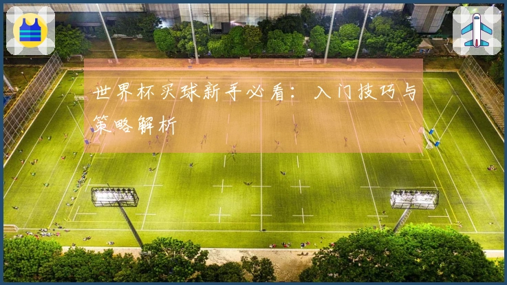 世界杯买球新手必看：入门技巧与策略解析