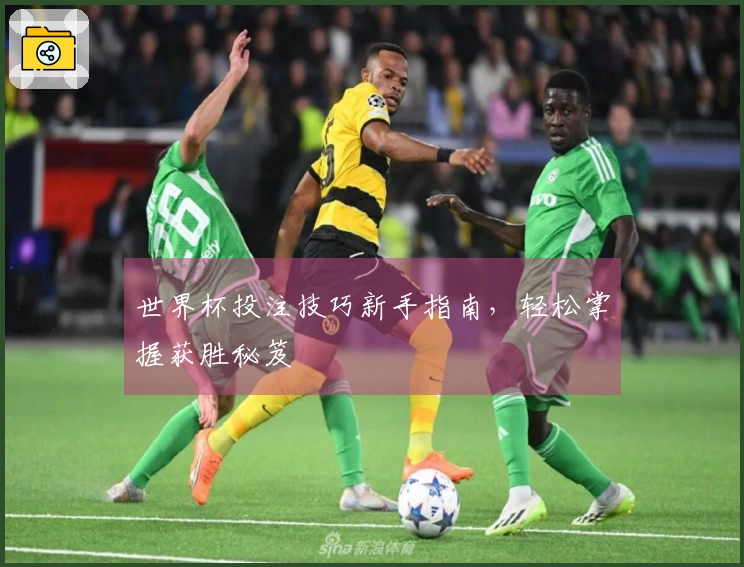 世界杯投注技巧新手指南，轻松掌握获胜秘笈