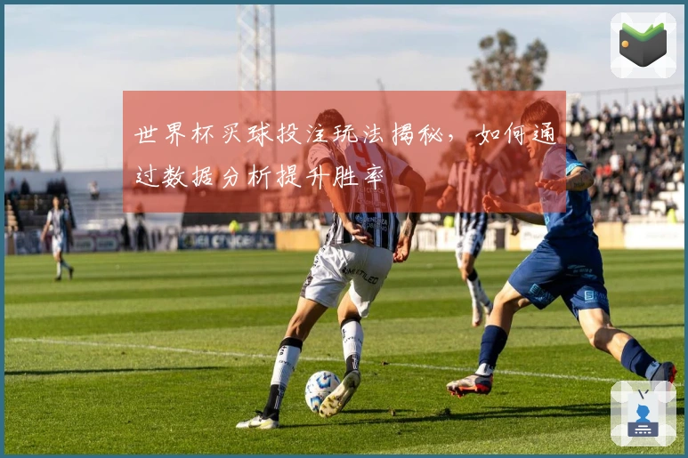 世界杯买球投注玩法揭秘，如何通过数据分析提升胜率