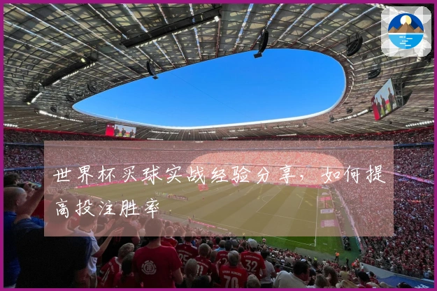 世界杯买球实战经验分享，如何提高投注胜率