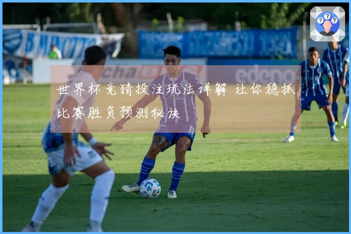 世界杯竞猜投注玩法详解 让你稳抓比赛胜负预测秘诀