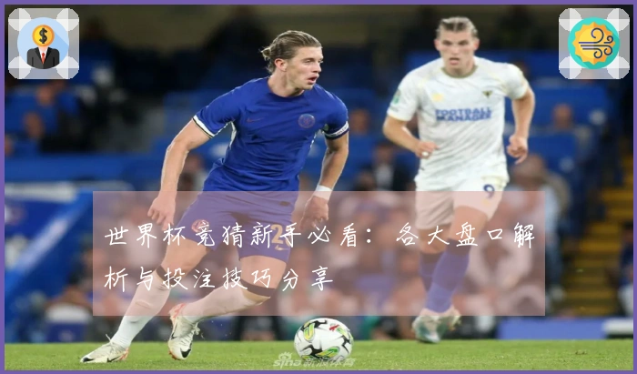 世界杯竞猜新手必看：各大盘口解析与投注技巧分享