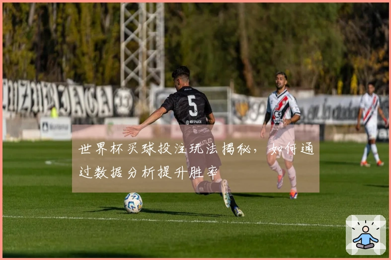 世界杯买球投注玩法揭秘，如何通过数据分析提升胜率