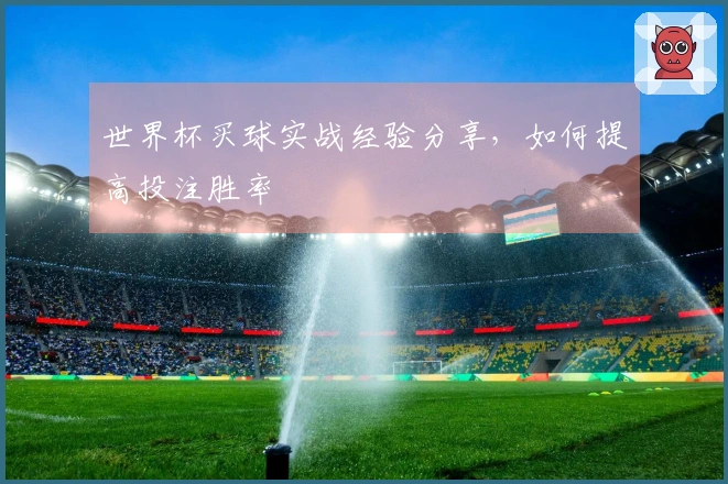 世界杯买球实战经验分享，如何提高投注胜率