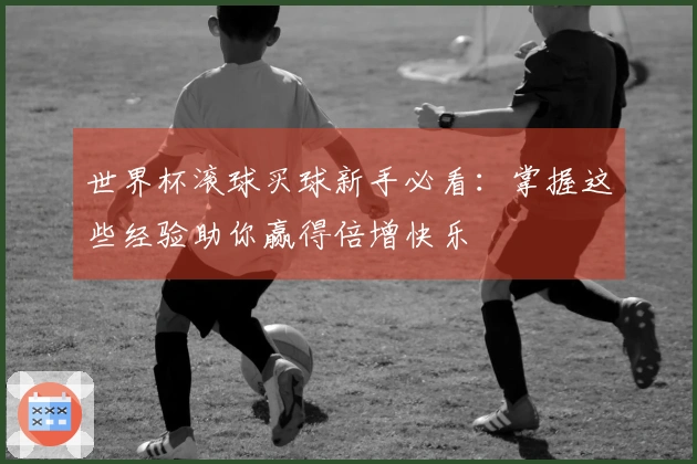 世界杯滚球买球新手必看：掌握这些经验助你赢得倍增快乐
